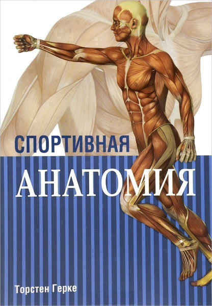 Торстен Герке: Спортивная анатомия