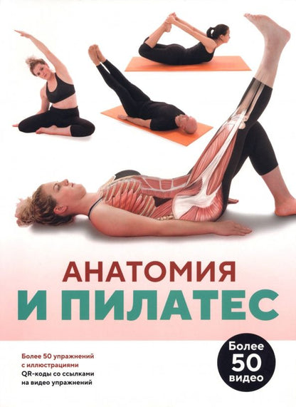 Анатомия и пилатес