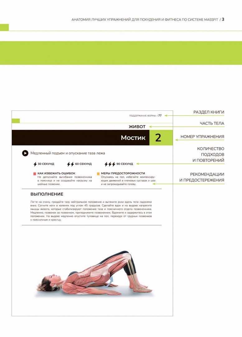 Анатомия лучших упражнений для похудения и фитнеса по системе Massfit