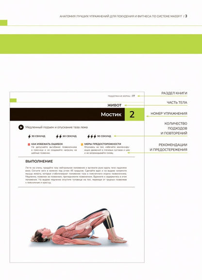 Анатомия лучших упражнений для похудения и фитнеса по системе Massfit