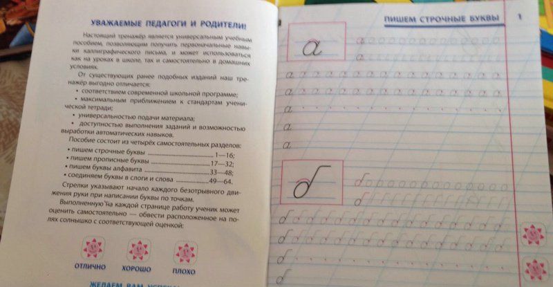 Станислав Петренко: Каллиграфическое письмо. 1 класс. Универсальный тренажер. ФГОС