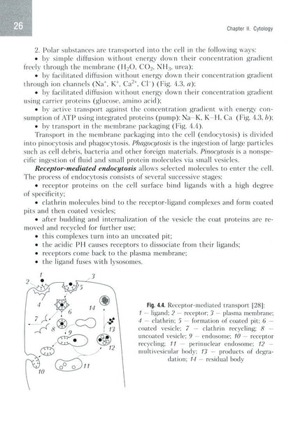 Татьяна Студеникина: Histology, Cytology, Embryology