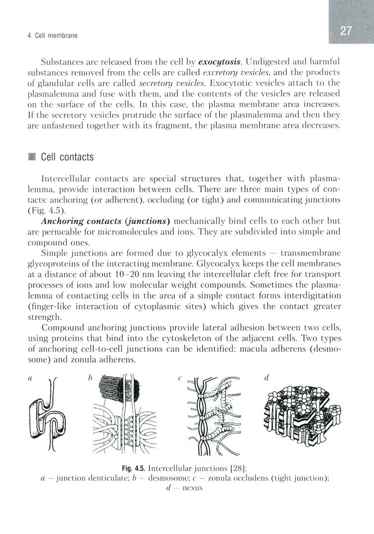 Татьяна Студеникина: Histology, Cytology, Embryology