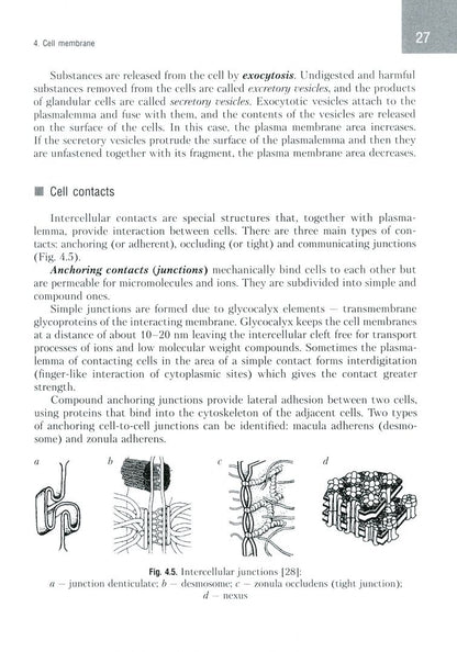 Татьяна Студеникина: Histology, Cytology, Embryology