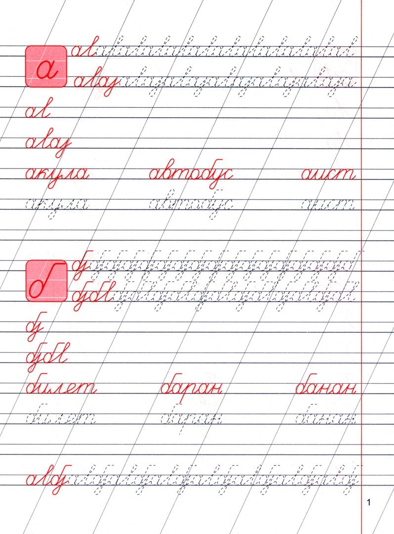Елена Шамакова: Буквы и их Соединения. Лучшие прописи