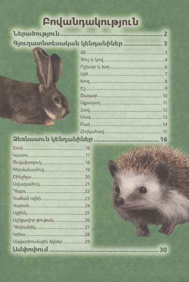 В мире знаний. Домашние животные (на армянском языке)