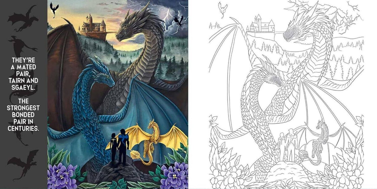 Fourth Wing: The Official Coloring Book Четвертое крыло официальная раскраска /Книги на английском языке