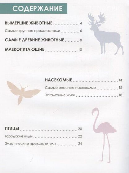 Фотография книги "А. Лихачева: Животные"