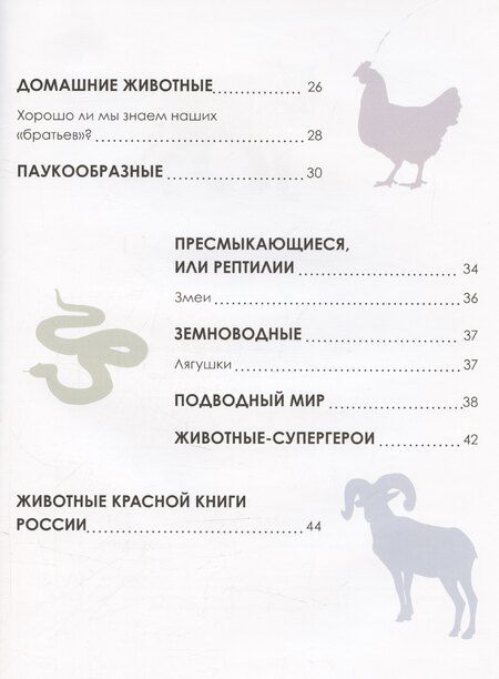 Фотография книги "А. Лихачева: Животные"