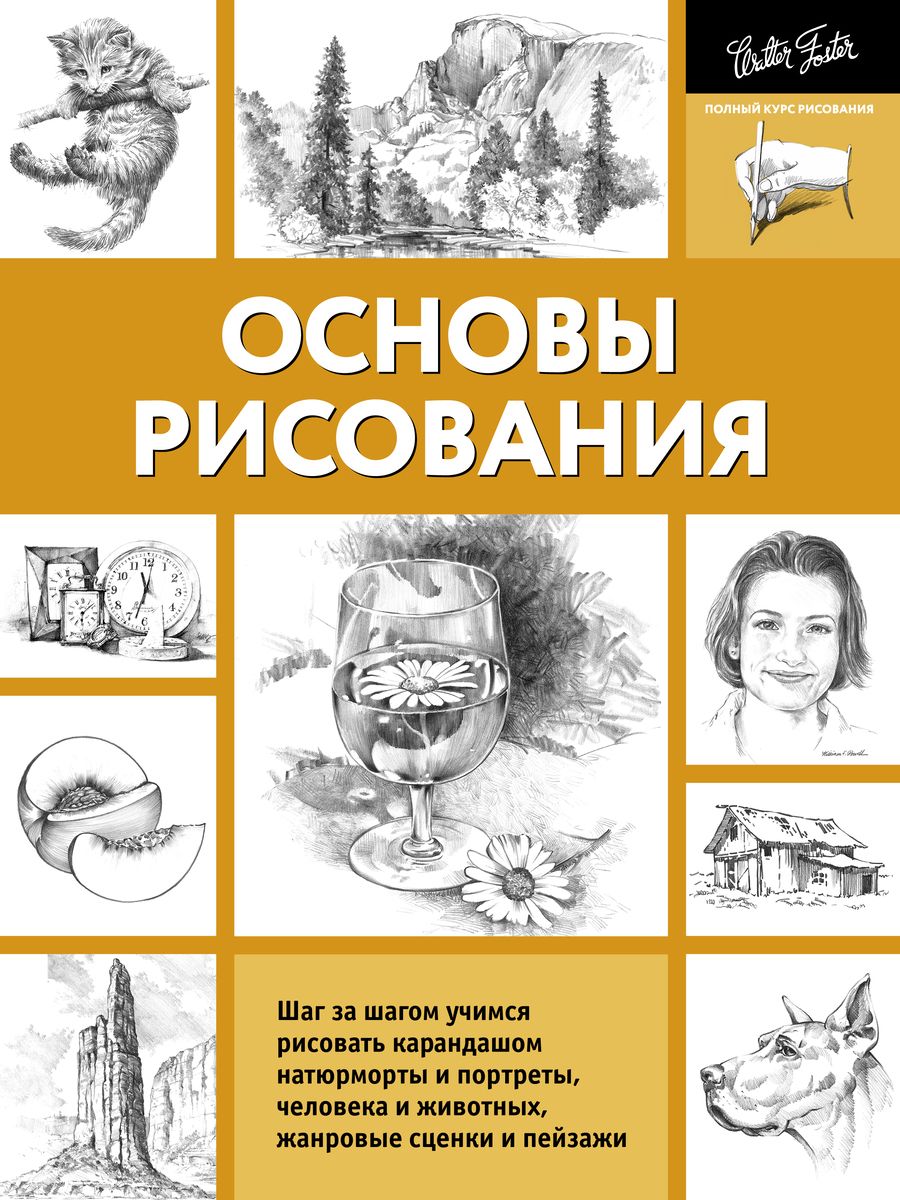 Обложка книги "А. Степанова: Основы рисования"