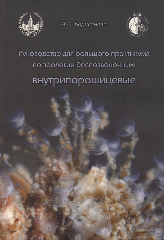 Обложка книги "А.О. Борисанова: Руководство для большого практикума по зоологии беспозвоночных. Внутрипорошицевые"