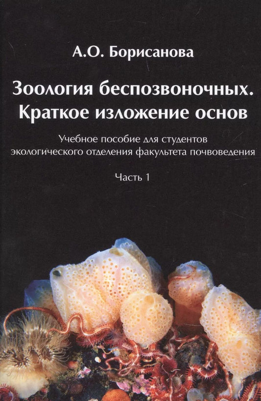 Обложка книги "А.О. Борисанова: Зоология беспозвоночных. Краткое изложение основ.  Часть1"