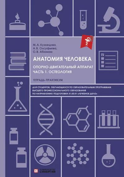 Обложка книги "Абанина, Кузнецова, Олсуфьева: Анатомия человека. Опорно-двигательный аппарат. Часть 1. Остеология. Тетрадь-практикум для высшего образования"