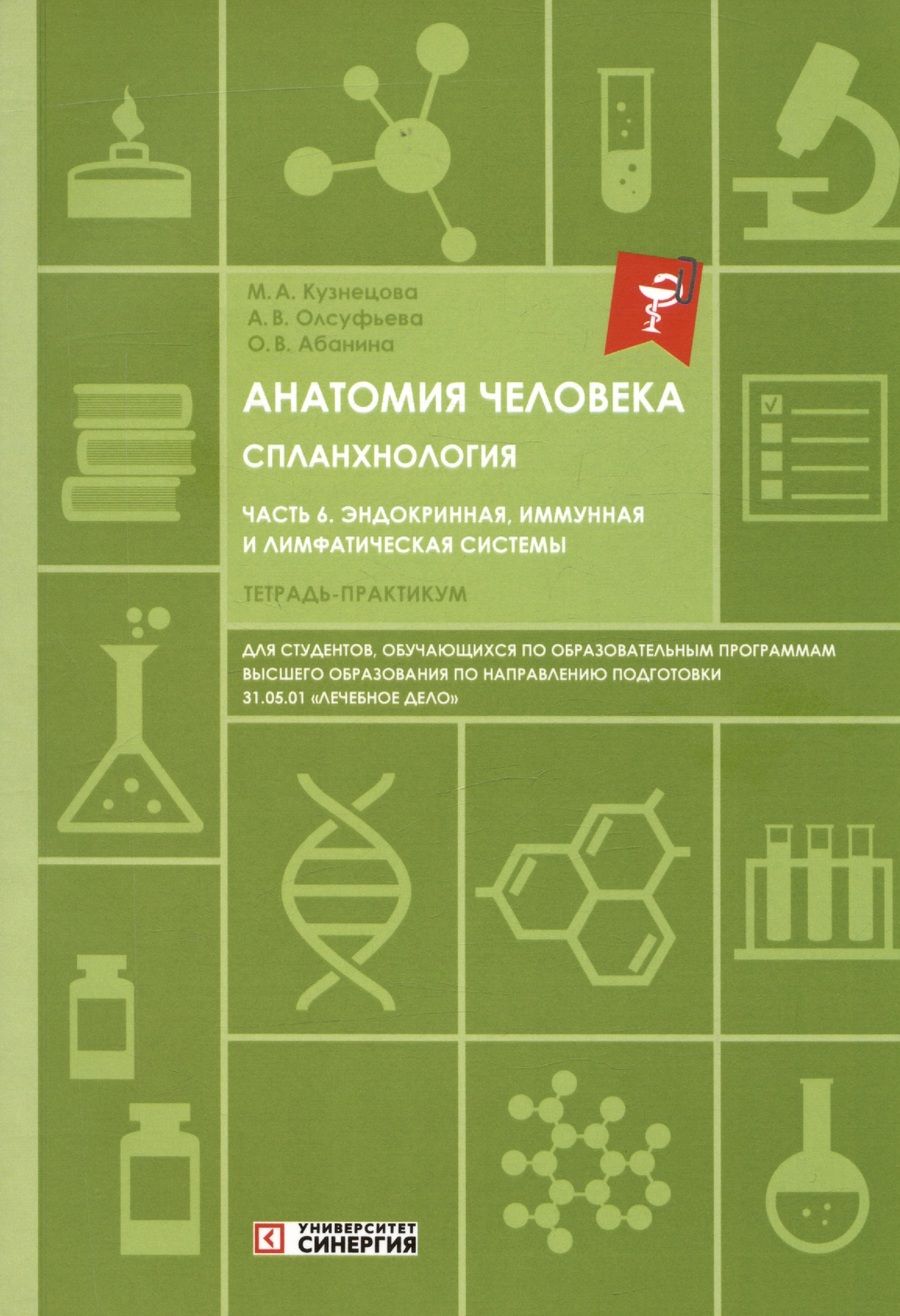 Обложка книги "Абанина, Олсуфьева, Кузнецова: Анатомия человека. Спланхнология. Часть 6. Эндокринная, иммунная и лимфатическая системы. Тетрадь-практикум"