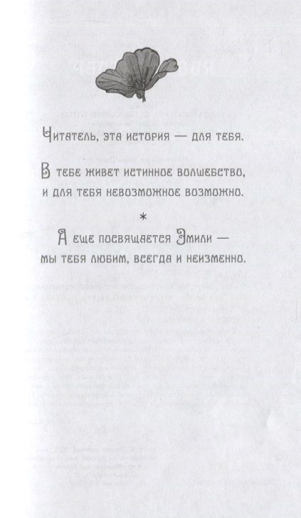 Фотография книги "Абэ: Эва Эвергрин и проклятие великого магистра"