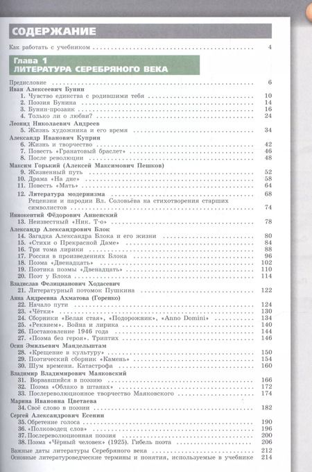 Фотография книги "Абелюк, Поливанов: Литература. 11 класс. Учебник. Базовый уровень. В 2-х частях. ФГОС"