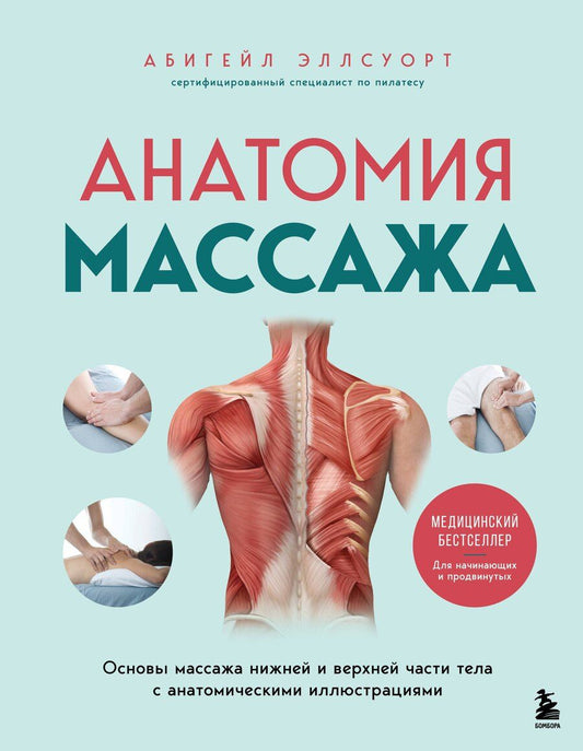 Обложка книги "Абигейл Эллсуорт: Анатомия массажа. Основы массажа нижней и верхней части тела с анатомическими иллюстрациями"