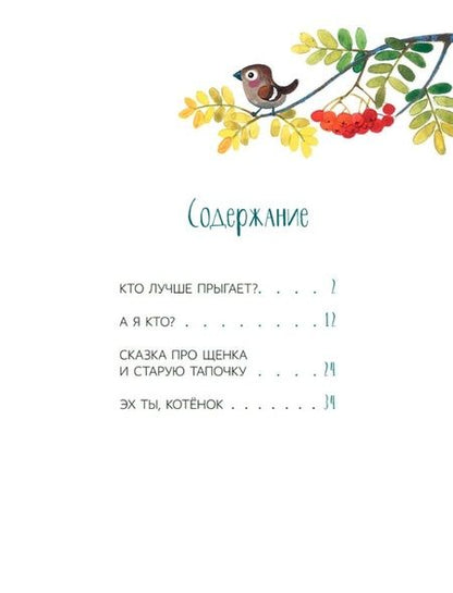 Фотография книги "Абрамцева: А я кто? Сказки"