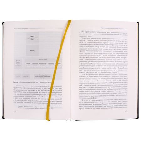 Фотография книги "Абучакра, Хури: Эффективное правительство для нового века. Реформирование государственного управления в современном мире. Том 62"