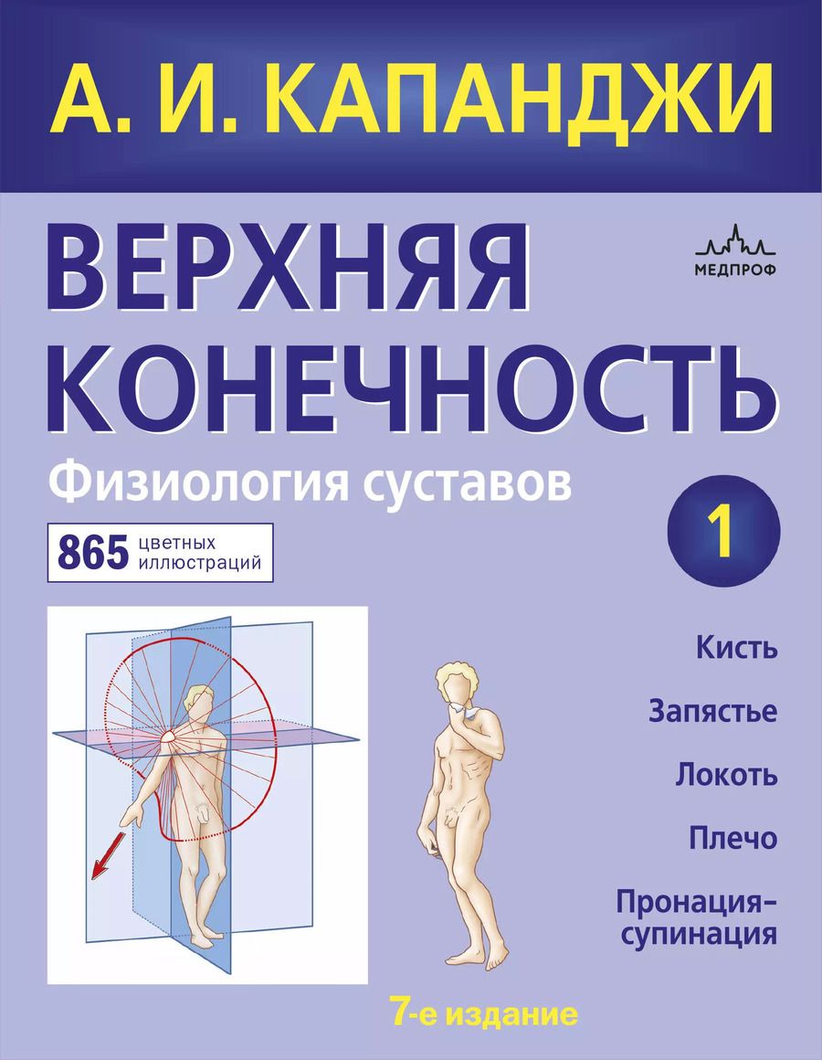 Обложка книги "Адальберт И.: Верхняя конечность. Физиология суставов (обновленное издание)"
