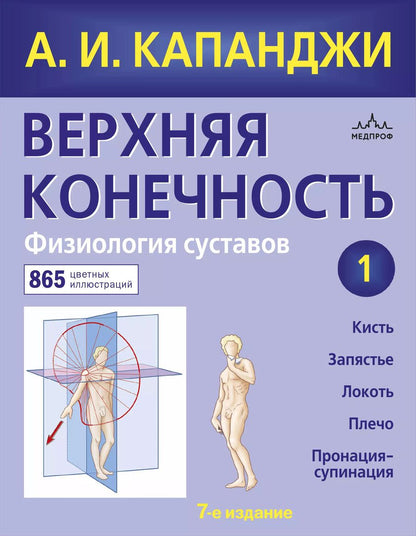 Обложка книги "Адальберт И.: Верхняя конечность. Физиология суставов (обновленное издание)"