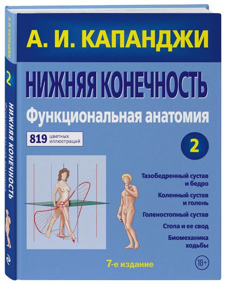 Фотография книги "Адальберт Капанджи: Нижняя конечность: Функциональная анатомия. Том 2. 819 цветных иллюстраций"