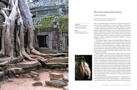 Фотография книги "Адамс: Выдающиеся деревья, которые изменили нашу жизнь"