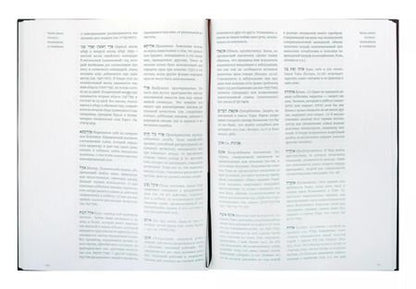 Фотография книги "Адин Эвен-Исраэль: Введение в Талмуд"