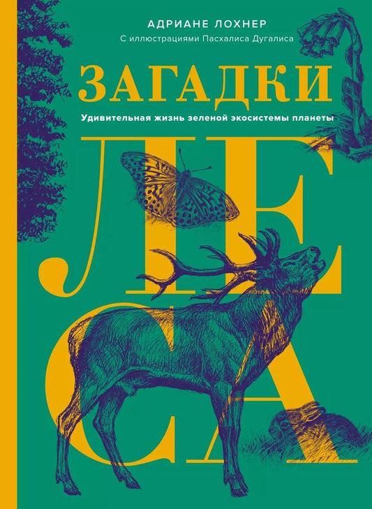 Обложка книги "Адриане Лохнер: Загадки леса. Удивительная жизнь зеленой экосистемы планеты"