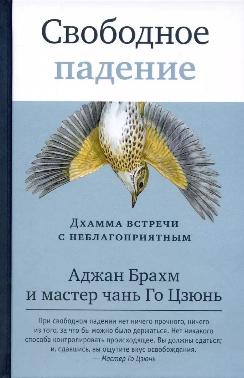Обложка книги "Аджан, Мастер: Свободное падение. Дхамма встречи с неблагоприятным"