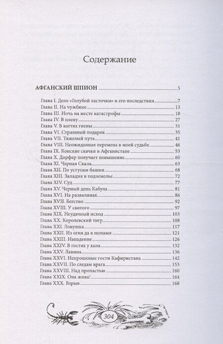 Фотография книги "Афганский шпион"