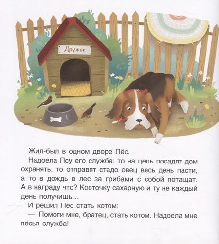 Фотография книги "Агапина: Кот и пес. Сказка. Задания. 2+"