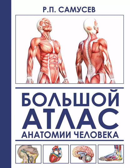 Обложка книги "Агеева, Самусев: Большой атлас анатомии человека. 2-е издание, исправленное и дополненное"