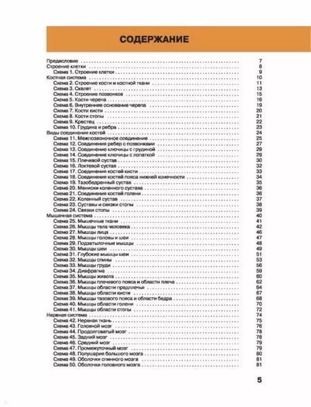 Фотография книги "Агеева, Самусев: Большой атлас анатомии человека. 2-е издание, исправленное и дополненное"
