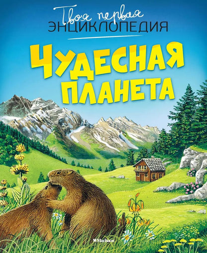 Обложка книги "Агнес Вандевеле: Чудесная планета"