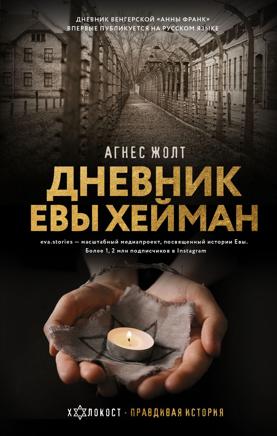 Обложка книги "Агнес Жолт: Дневник Евы Хейман"