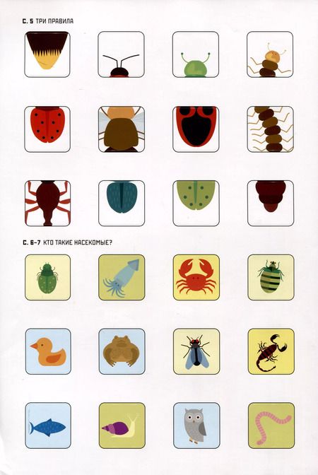 Фотография книги "Агнеса Баруцци: Умные открытия. Насекомые"