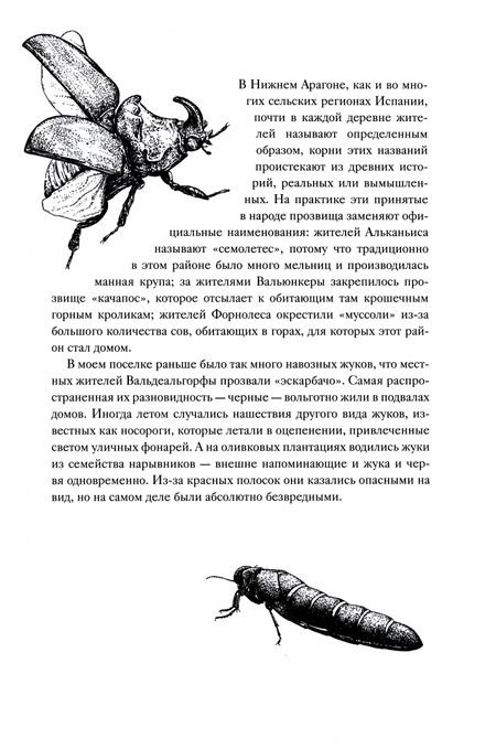 Фотография книги "Агусти: История кота, изменившего одну жизнь. Признание в любви"