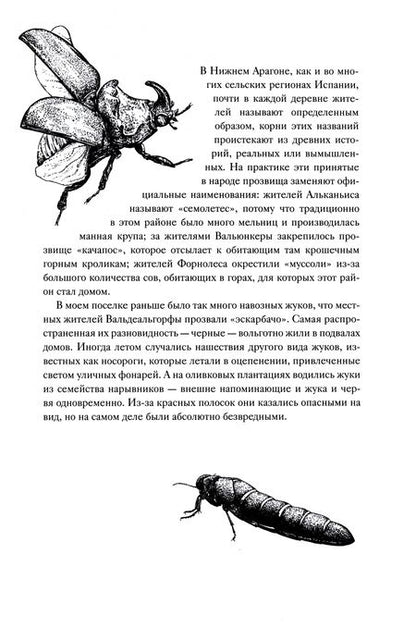Фотография книги "Агусти: История кота, изменившего одну жизнь. Признание в любви"