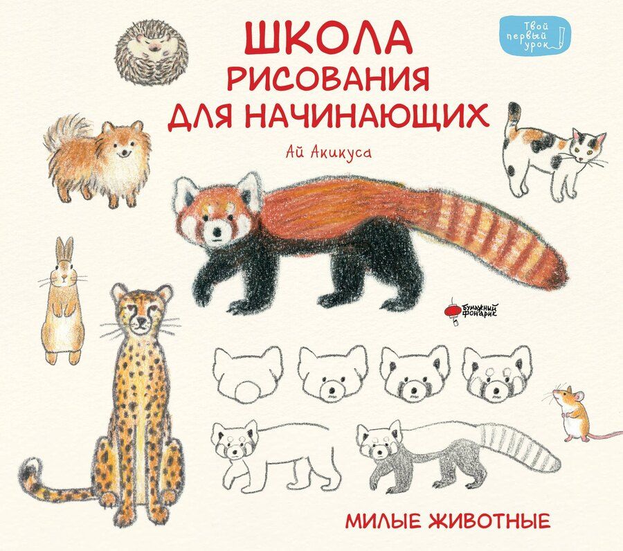 Обложка книги "Аи Акикуса: Школа рисования для начинающих: милые животные"
