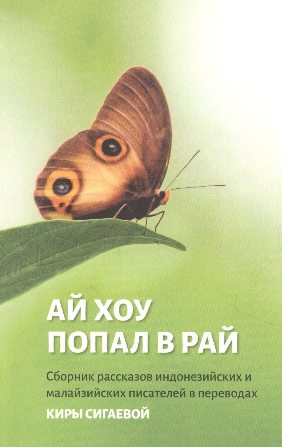 Обложка книги "Ай Хоу попал в рай"