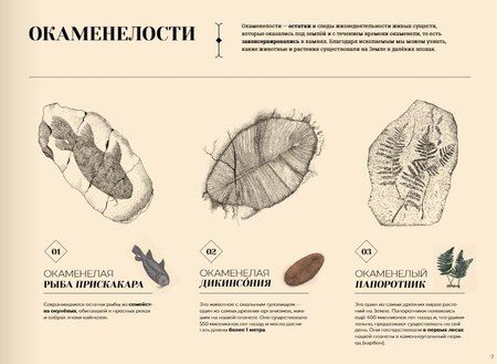 Фотография книги "Айна Бестард: Утраченные пейзажи Земли"
