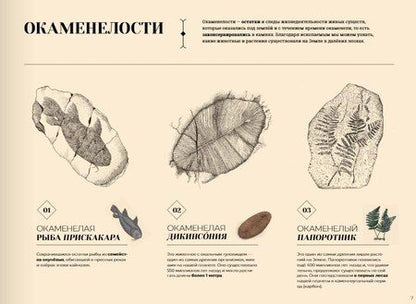 Фотография книги "Айна Бестард: Утраченные пейзажи Земли"