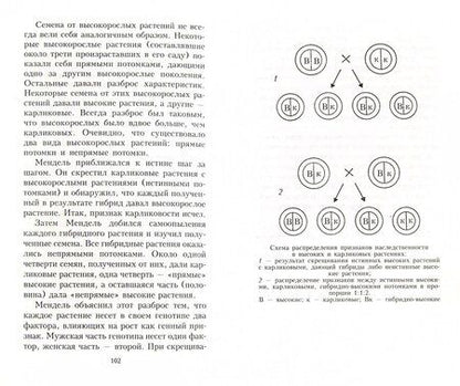 Фотография книги "Айзек Азимов: Краткая история биологии. От алхимии до генетики"