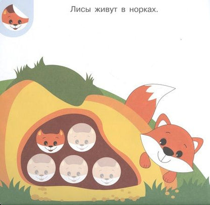 Фотография книги "Академия малыша. Наклей и узнай. Кто где живет?"