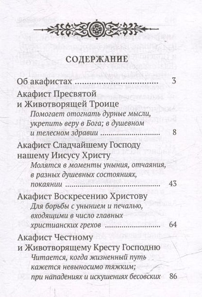 Фотография книги "Акафисты, читаемые в болезнях, скорбях и особых нуждах"