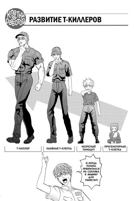 Фотография книги "Аканэ Симидзу: Клетки за работой. Том 2 (Hataraku Saibou). Манга"