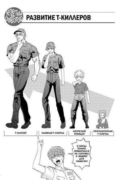 Фотография книги "Аканэ Симидзу: Клетки за работой. Том 2 (Hataraku Saibou). Манга"