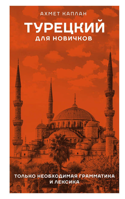 Обложка книги "Ахмет Каплан: Турецкий для новичков"
