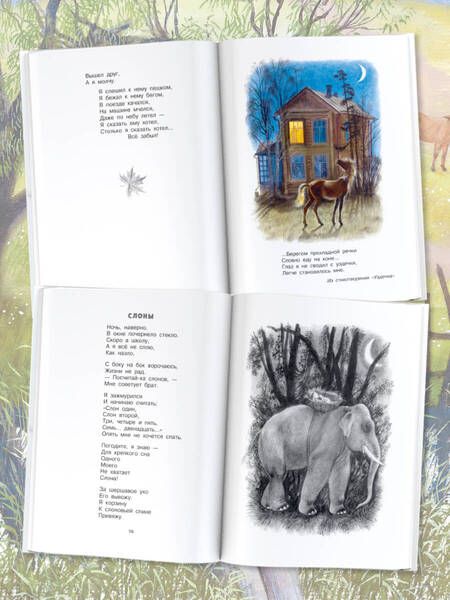 Фотография книги "Аким: Весело мне! Стихи и сказка"